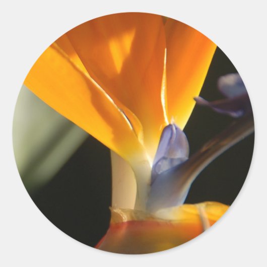 paradijsvogel-Sticker Ronde Sticker (Voorkant)