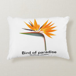 paradijsvogel strelitzia kussen