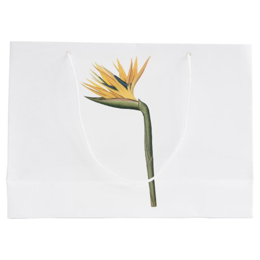 paradijsvogel (Strelitzia reginae) van Redouté Groot Cadeauzakje (Achterkant)