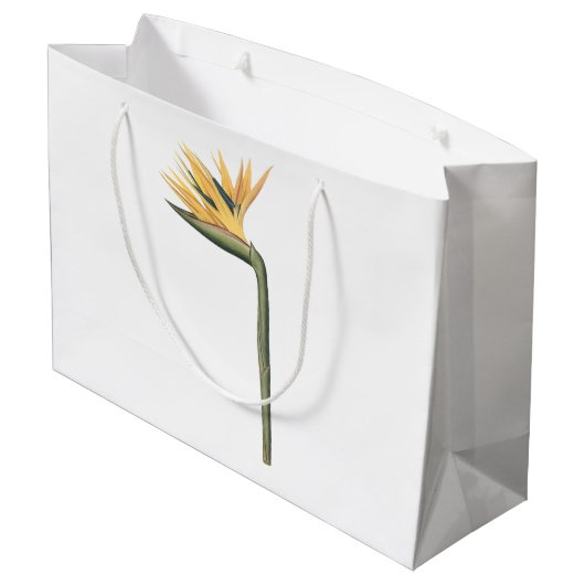 paradijsvogel (Strelitzia reginae) van Redouté Groot Cadeauzakje (Achterkant Gekanteld)