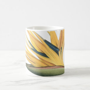 paradijsvogel (Strelitzia reginae) van Redouté Koffiemok