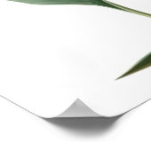 Paradijsvogel tekening (bloem) poster (Hoek)