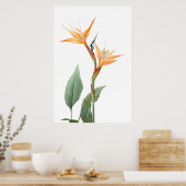 Paradijsvogel tekening (bloem) poster (Keuken)