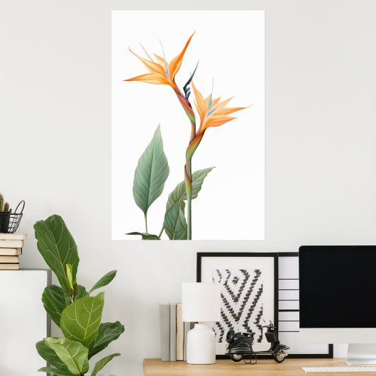 Paradijsvogel tekening (bloem) poster (Thuiskantoor)