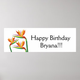 Paradijsvogel Tropisch Bloemengestalte Feestbanner Poster