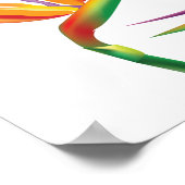 Paradijsvogel Tropisch Bloemfeest Banner Poster (Hoek)