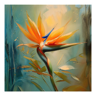 Paradijsvogel Tropisch Plant Foto Afdruk