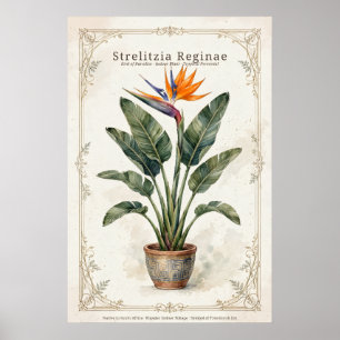 Paradijsvogel Vintage Botanische Poster Gemonteerd