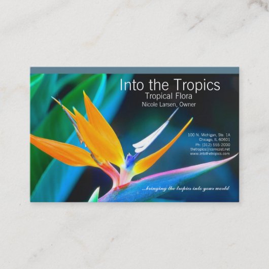 paradijsvogel-visitekaartje visitekaartje (Voorkant)