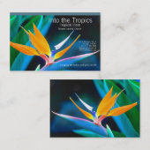 paradijsvogel-visitekaartje visitekaartje (Voorkant / Achterkant)