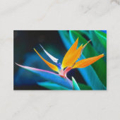 paradijsvogel-visitekaartje visitekaartje (Achterkant)
