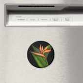 Paradijsvogel volledige magneet (Insitu (Vaatwasser))