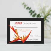 Paradijsvogel Witte Reactiekaart Kaart (Staand voorkant)