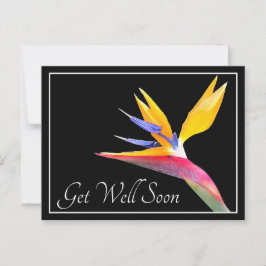 Paradijsvogel Zwarte Achtergrond Beterschap Briefkaart