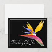 Paradijsvogel Zwarte Achtergrond Denken Aan Jou Briefkaart (Voorkant / Achterkant)