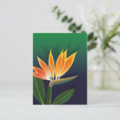 Paradijsvogelbloem Briefkaart (Staand voorkant)