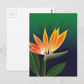 Paradijsvogelbloem Briefkaart (Voorkant / Achterkant)