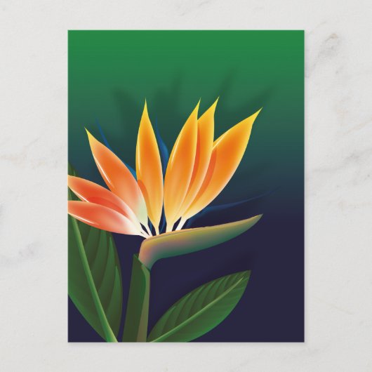 Paradijsvogelbloem Briefkaart (Voorkant)