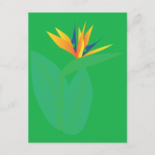 Paradijsvogelbloem Briefkaart (Voorkant)