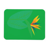 Paradijsvogelbloem Magneet (Horizontaal)