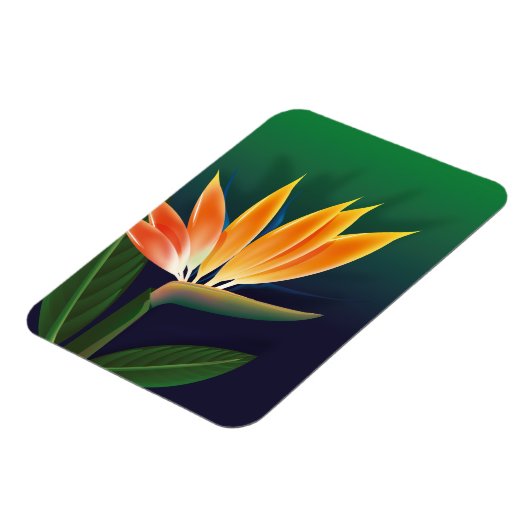 Paradijsvogelbloem Magneet (Linkerzijde)