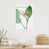 Paradijsvogelbloem Poster (Keuken)