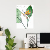 Paradijsvogelbloem Poster (Thuiskantoor)
