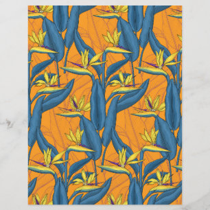 Paradijsvogelbloemen op oranje