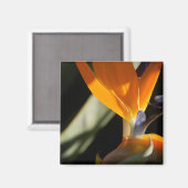 Paradijsvogelmagneet Magneet (Voorkant / Achterkant)