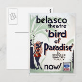 paradijsvogelproject briefkaart (Voorkant / Achterkant)