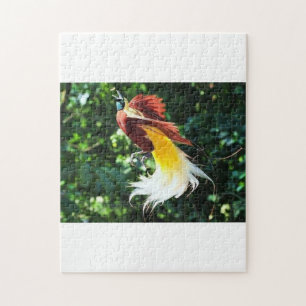 paradijsvogelpuzzel legpuzzel