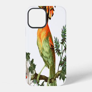 Paradijsvogels: Exotische bloemachtergrond iPhone 12 Hoesje