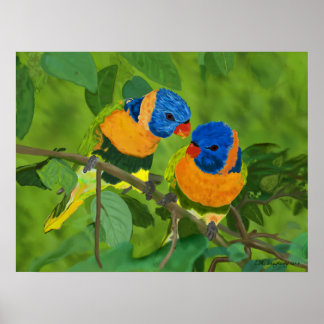 Paradijsvogels Poster