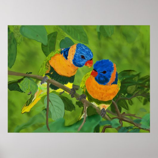 Paradijsvogels Poster (Voorkant)