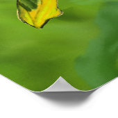 Paradijsvogels Poster (Hoek)