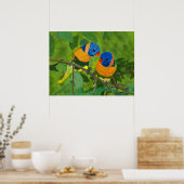 Paradijsvogels Poster (Keuken)