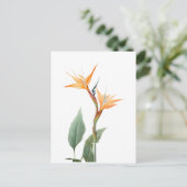 Paradijsvogeltekening (bloem) briefkaart (Staand voorkant)