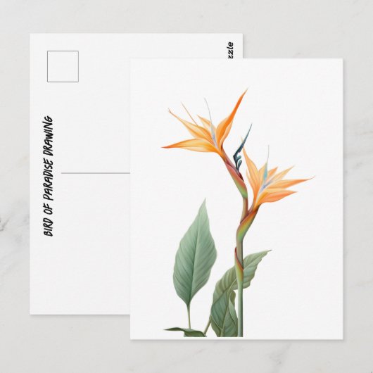 Paradijsvogeltekening (bloem) briefkaart (Voorkant / Achterkant)