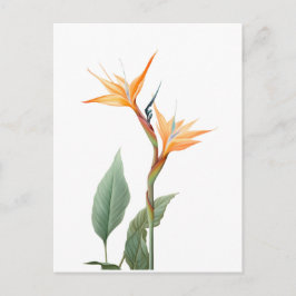 Paradijsvogeltekening (bloem) briefkaart