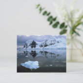Paradise Bay, Antarctica Briefkaart (Staand voorkant)