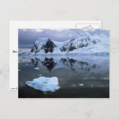 Paradise Bay, Antarctica Briefkaart (Voorkant / Achterkant)
