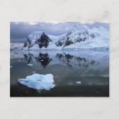 Paradise Bay, Antarctica Briefkaart (Voorkant)