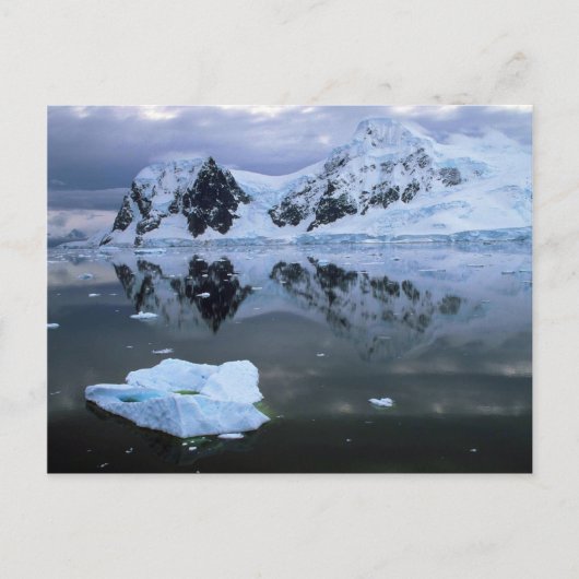 Paradise Bay, Antarctica Briefkaart (Voorkant)