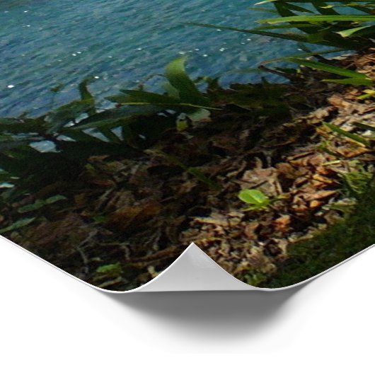 Paradise Beach - Maui, Hawaii Poster (Hoek)