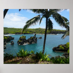 Paradise Beach - Maui, Hawaii Poster