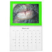 PARADISE BETROKKENHEID KALENDER (Mar 2027)