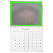 PARADISE BETROKKENHEID KALENDER (Jan 2027)