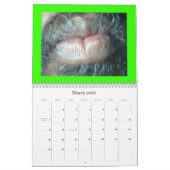 PARADISE BETROKKENHEID KALENDER (Mar 2026)