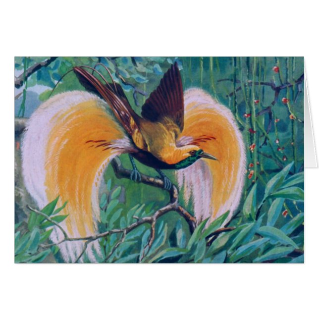 Paradise Bird Kaart (Voorkant Horizontaal)