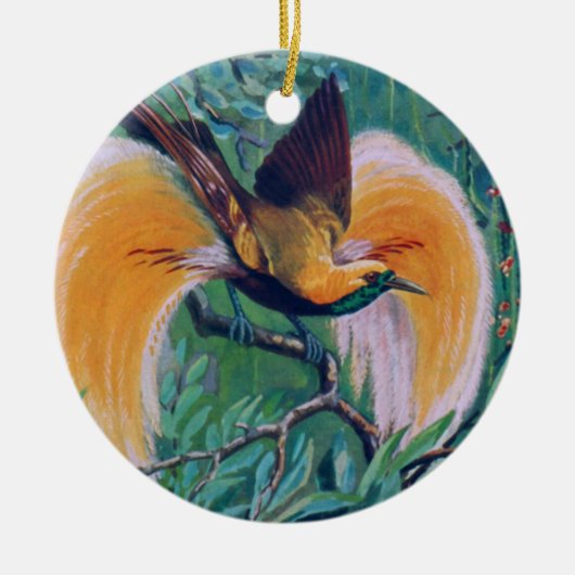 Paradise Bird Ornament (Voorkant)